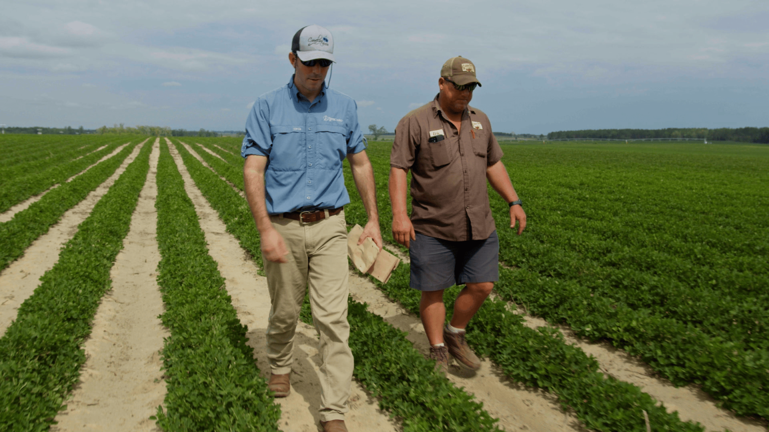 About Us - TIMAC AGRO USA