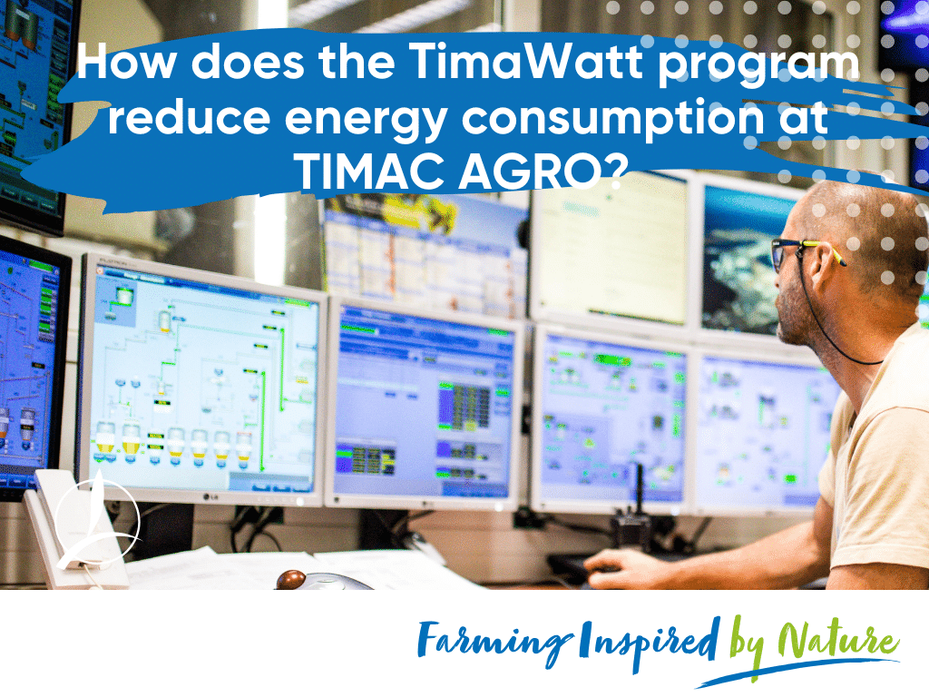 How does the TimaWatt program reduce energy consumption at TIMAC AGRO