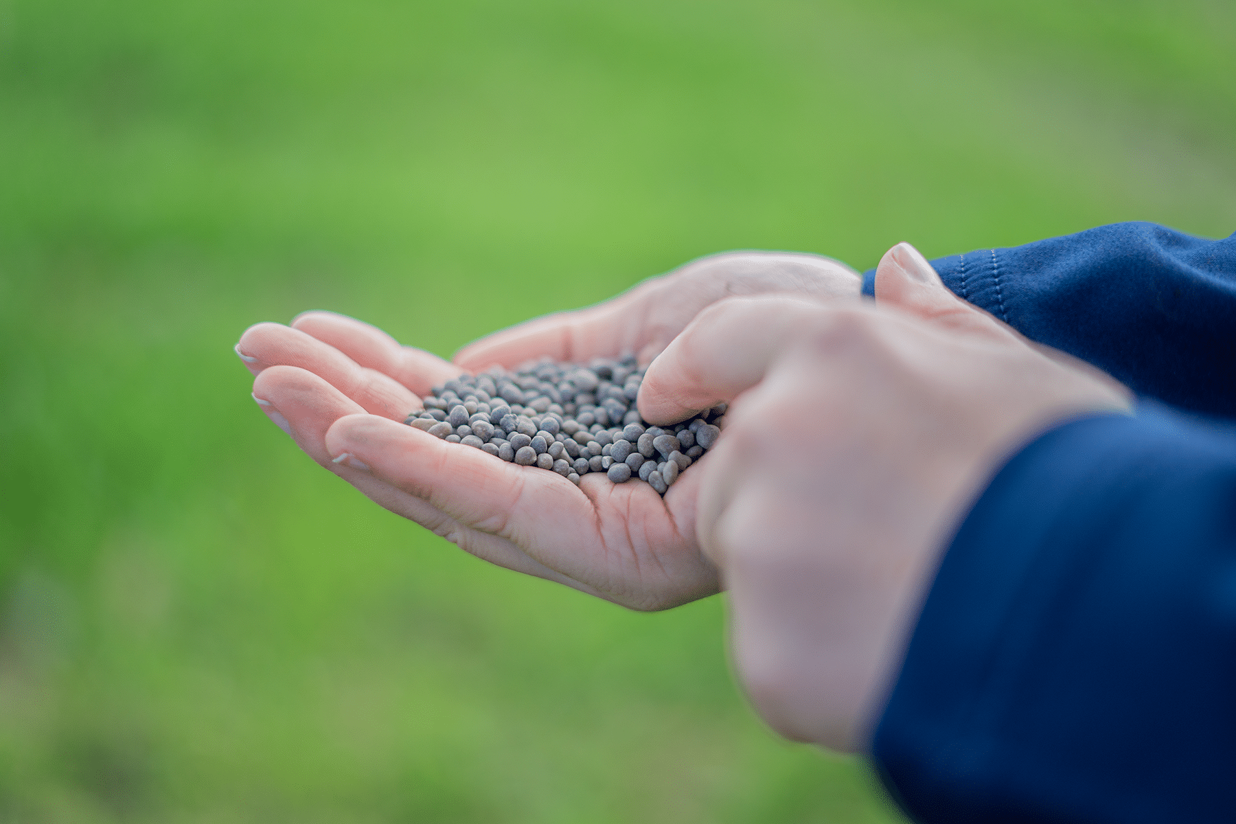 TIMAC AGRO Field Rep holding granular fertilizer in the field.