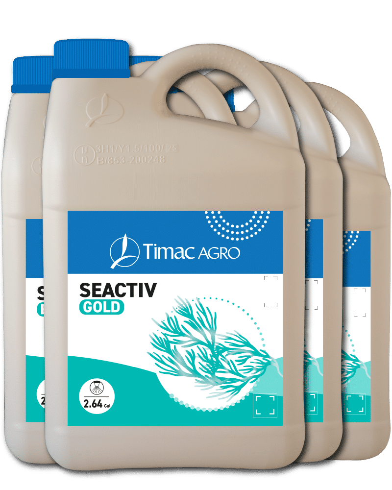 SEACTIV