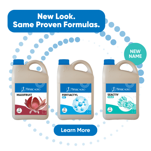 new packaging popup v2