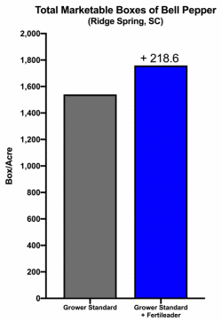 Total Marketable Boxes of Bell Pepper - Fertileader