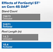 Effects of Fertiactyl in Stand Count and Root Length