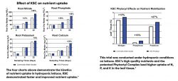 KSC Nutrient Uptake Graphs