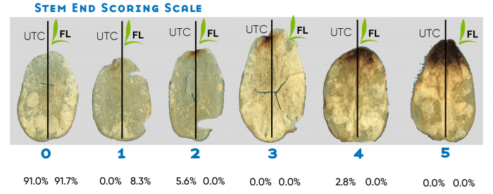 Potato Fertileader Gold Trial