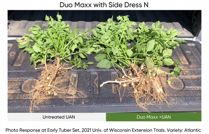 Potato Duo Maxx Trial 2