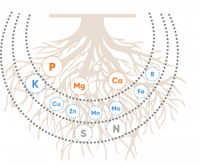 Nutrient Mobility