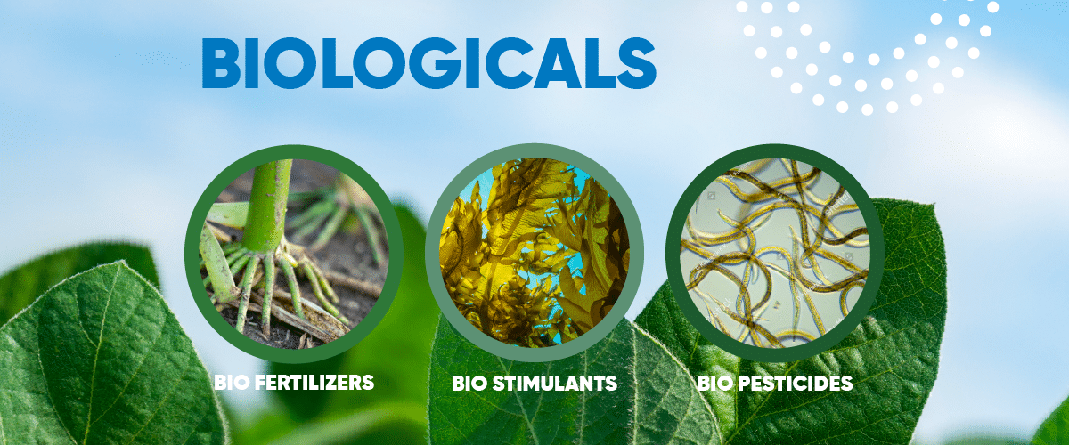 Biologicals