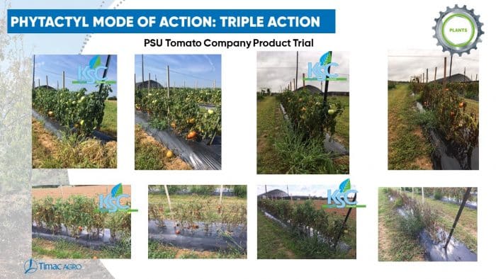 KSC Water-Soluble Seen on Tomato Trials